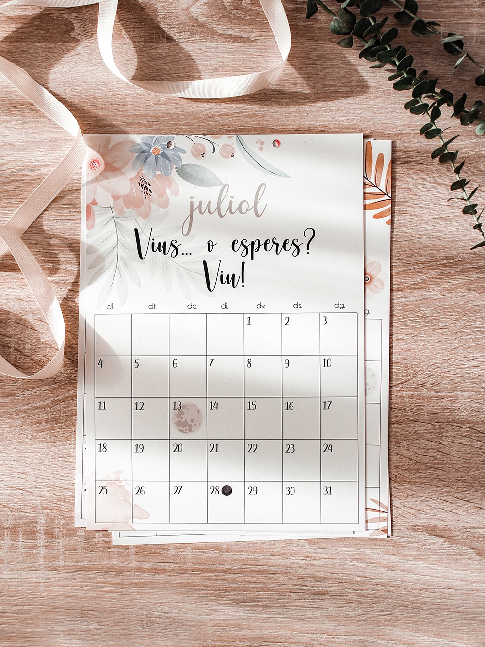 calendari-catala-2022-frases