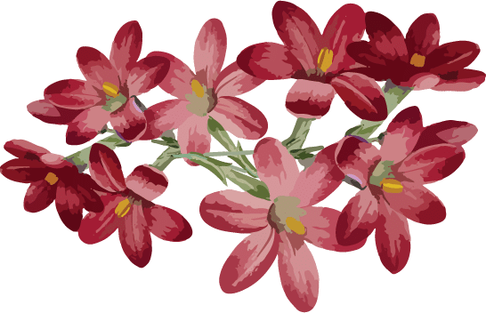 flors