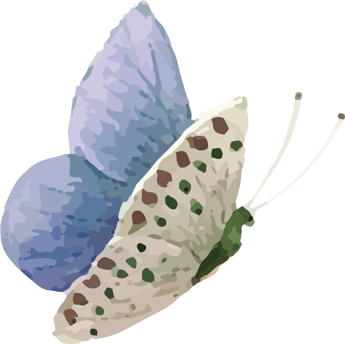 papallona